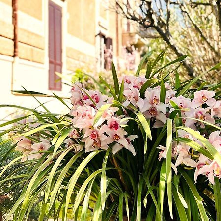 Villa Michelangelo Deluxe Róma Kültér fotó